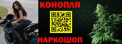 МДПВ Гатчина