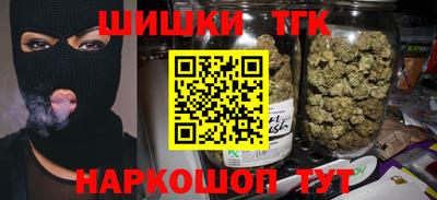 МДПВ Гатчина