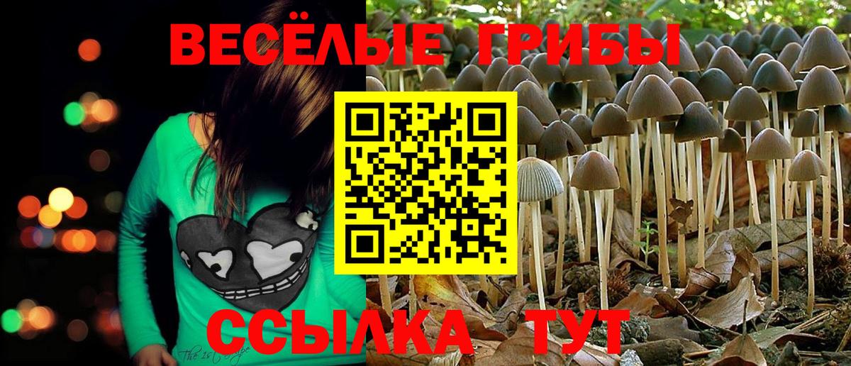 Галлюциногенные грибы прущие грибы Шали