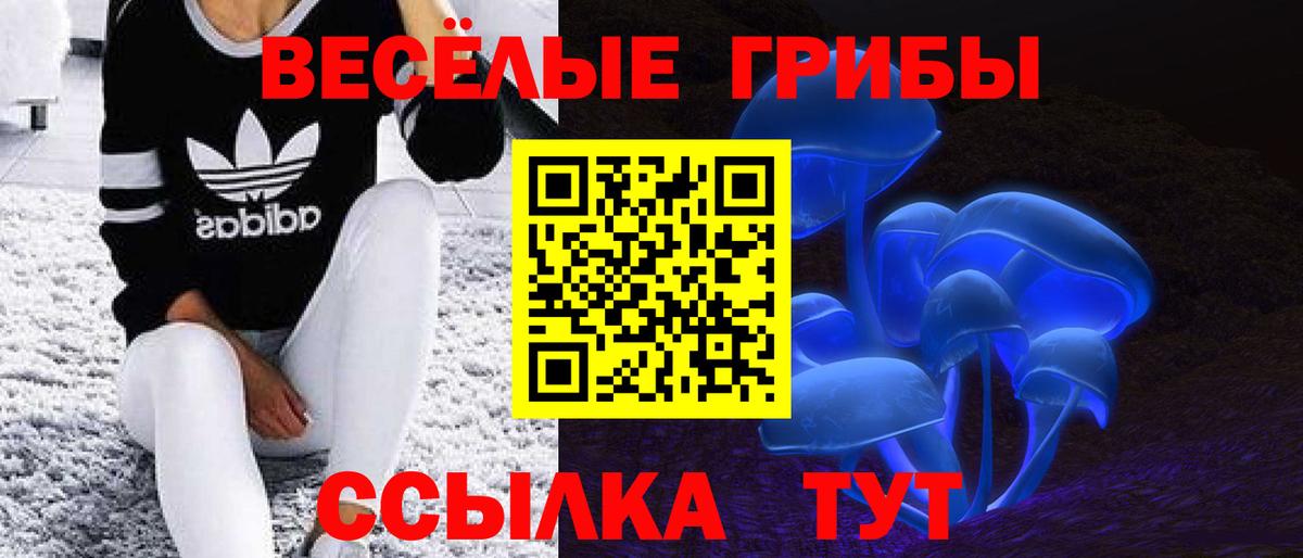 наркота  Вход с VPN  Галлюциногенные грибы Magic Shrooms  Шали  Псилоцибиновые грибы Psilocybine cubensis 